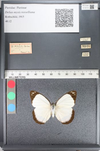 Media type: image;   Entomology 130112